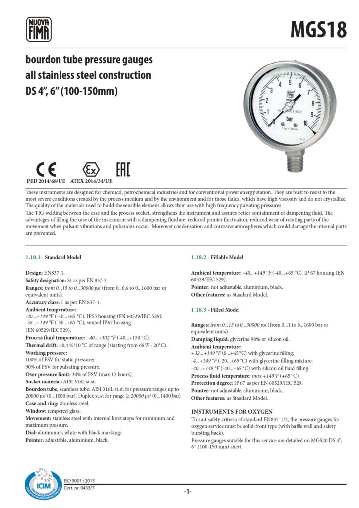 Pressure Gauge NUOVA FIMA MGS18 DN100